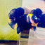 Plakat Bumble Bee Yellow Male Betta 144 Live Betta Fish Male betta