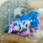 Plakat Candy Koi Multicolor Female Betta 132 Female betta
