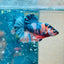 Plakat Copper Candy Male Betta 150 Male betta