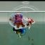 Plakat Dumbo Koi Male Betta A224
