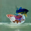 Plakat Dumbo Koi Male Betta A224