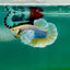 Plakat Dumbo Pineapple Male Betta Ma17