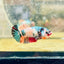 Plakat Koi Candy Female Betta 017