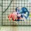 Plakat Koi White Candy Male Betta 125 Male betta