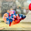 Plakat Multicolor Koi Male Betta 162