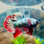 Plakat Red Copper Koi Male Betta A65