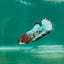 Plakat Red Fancy Copper Female Betta Ma24