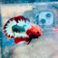 Plakat Red Fancy Copper Male Betta 140 Male betta