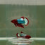 Plakat Red Fancy Copper Male Betta D32