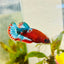 Plakat Red Fancy Female Betta 172 Female betta