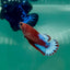 Plakat Red Fancy Female Betta Ma27