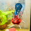 Plakat Red Fancy Male Betta 114 Male betta