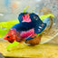 Plakat Red Fancy Male Betta 114 Male betta