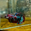 Plakat Red Koi Galaxy Female Betta 090 Female betta