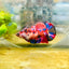 Plakat Red Koi Galaxy Female Betta 200 Female betta