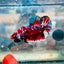 Plakat Red Koi Galaxy Male Betta 153 Male betta