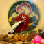 Plakat Samurai Blood Red - Betta Breeding Pair
