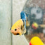 Plakat Yellow Fancy Copper Male Betta M14