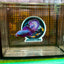 Purple Pink Plakat - Male Betta 102