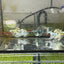 Tri-color Balloon Molly Fish