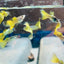 Guppy Fish Yellow Lace