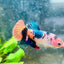 Betta Female Plakat Orange Candy #193
