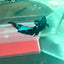 Plakat Avarta Nebula Male Betta #M19