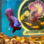 Purple Pink Plakat - Male Betta 133 Breeder Grade