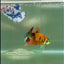 Plakat Nemo Green Eye Male Betta #Jul17