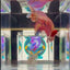 [Rare]Big Giant Koi Multicolor Bigtail A147 - Male Betta