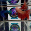 Orange Dot A30 Halfmoon - Male Betta