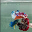 Plakat Koi Multicolor Metallic Male Betta #A229