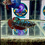 Avatar Galaxy Stardust J46 Plakat - Female Betta