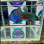 Wild Imbellis J59 Plakat - Male Betta