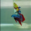 Plakat Alien Samurai Eye Male Betta #Jul50