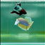 Plakat Dumbo Pineapple Male Betta #Ma17