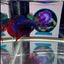 Wild Imbellis J56 Plakat - Male Betta