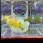 Dumbo Koi green eye A134 Plakat - Female Betta
