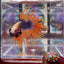 Mascot Orange Crowntail Halfmoon A110 - Male Betta