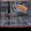 [AOC] Dumbo Blue A97 Plakat - Female Betta