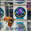 orange base metallic - Female betta M55