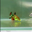 Halfmoon Nemo Metallic Green Eye Female Betta #Jul14
