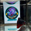 Avatar Stardust Super rare J04 Plakat- Male Betta