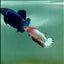 Plakat Red Fancy Copper Female Betta #Ma22