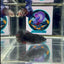 Avatar Superblack J12 Plakat - Female Betta