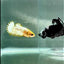 Plakat Yellow Fancy Copper Female Betta #Au59