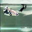 Plakat Marble Dot Male Betta #Au46
