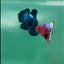 Plakat Red Fancy Female Betta #Ma26