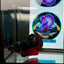 Avatar Stardust Super rare J04 Plakat- Male Betta