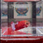 Red Fancy A108 Plakat - Female Betta